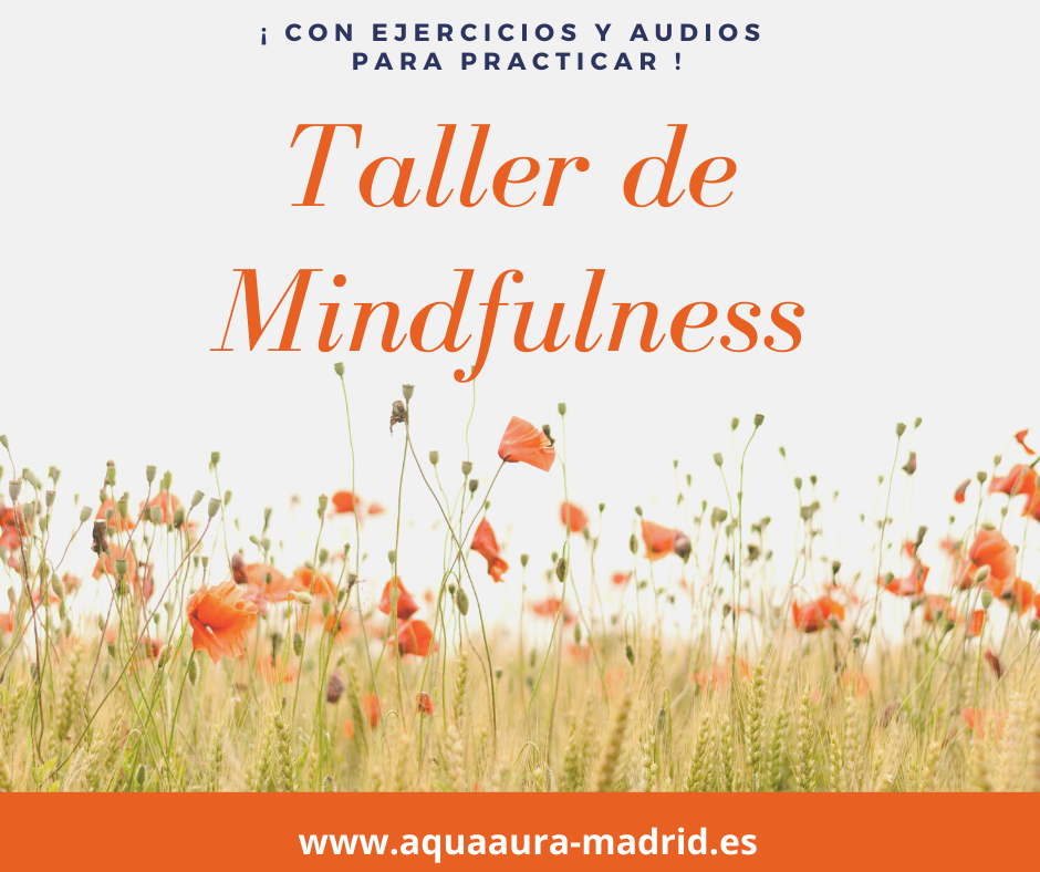 Taller de Mindfulness. Vive el presente